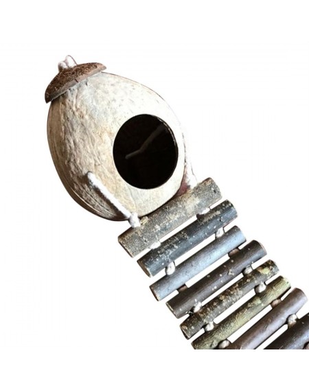 Natural Coconut Shell Bird Nesting House Pet Parakeets Finches Sparrows Cage