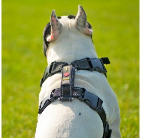 Ondoing Dog Harness No Pull Easy Walking