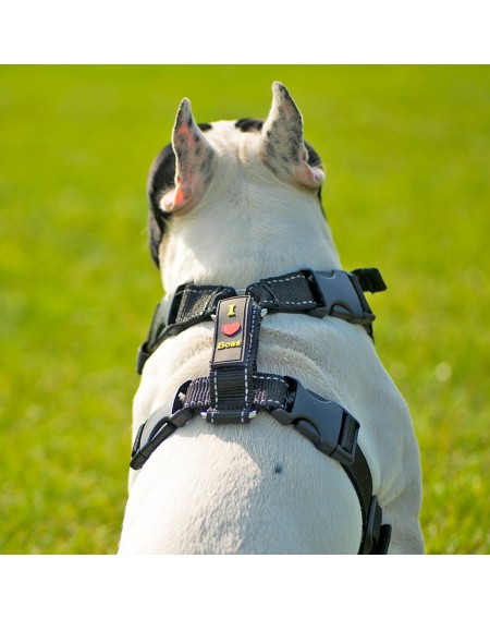 Ondoing Dog Harness No Pull Easy Walking
